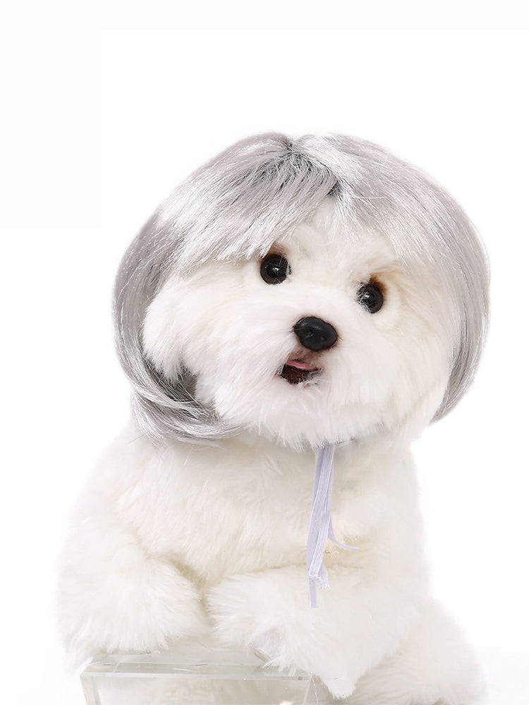 Dog Hair Wig elevenforest