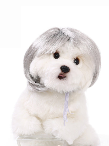 Dog Hair Wig elevenforest