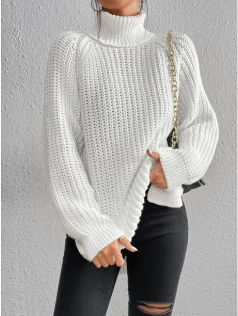 Thoughtfully Designed Jumper