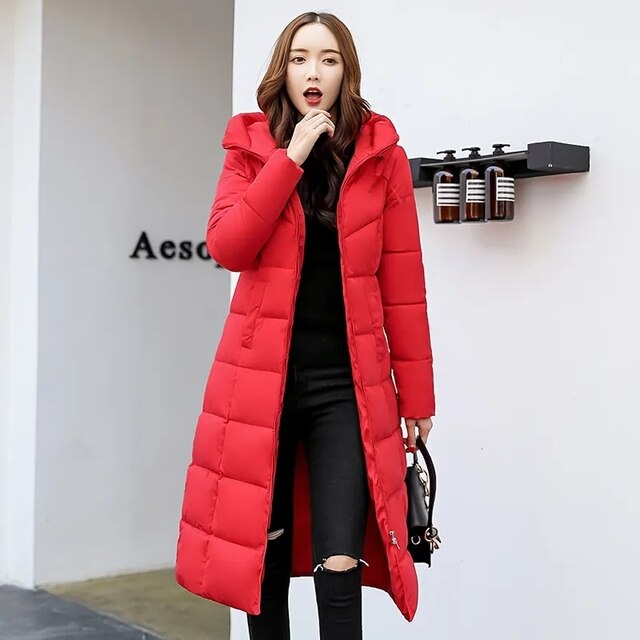 Elegantly Designed Jacket