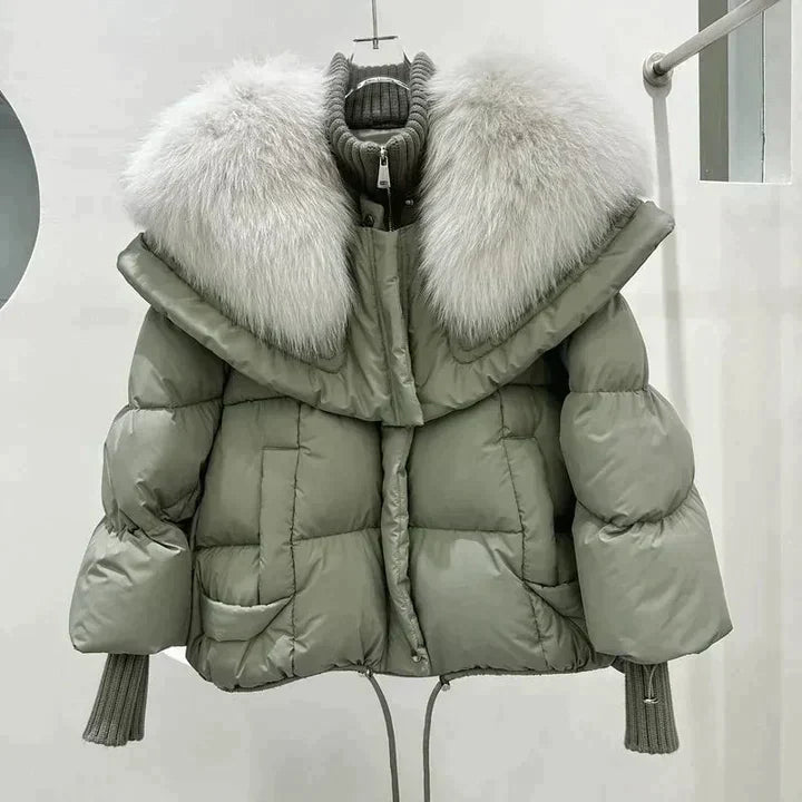 Elegantly Designed Jacket