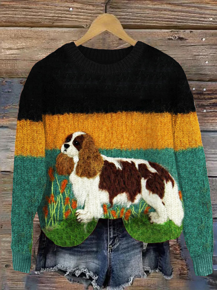 Thoughtfully Designed Jumper
