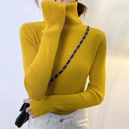 Gracefully Designed Jumper