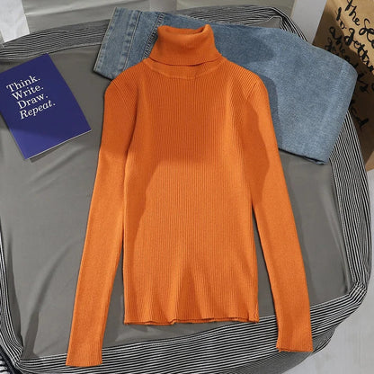 Thoughtfully Designed Jumper