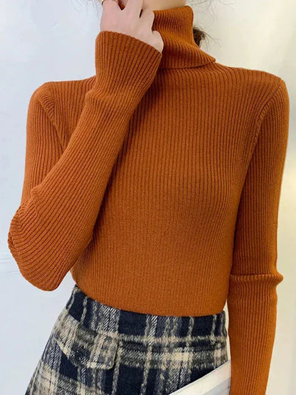 Elegantly Designed Jumper