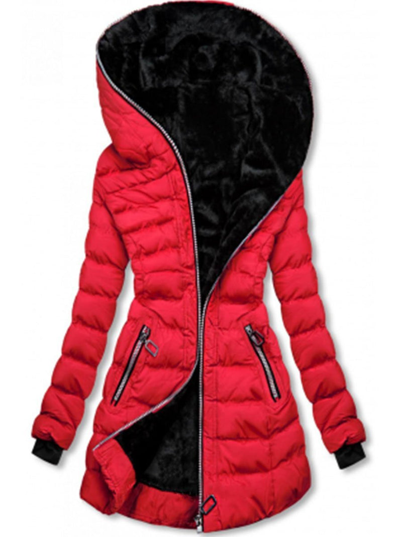 Beautifully Crafted Jacket