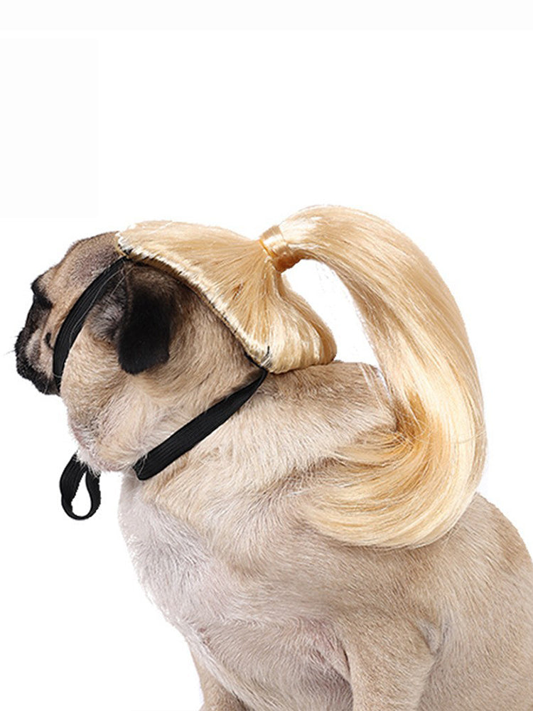 Dog Hair Wig elevenforest