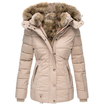 Elegantly Designed Jacket