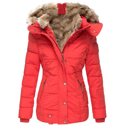 Elegantly Designed Jacket