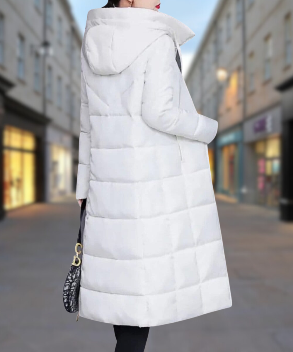 Elegantly Designed Jacket