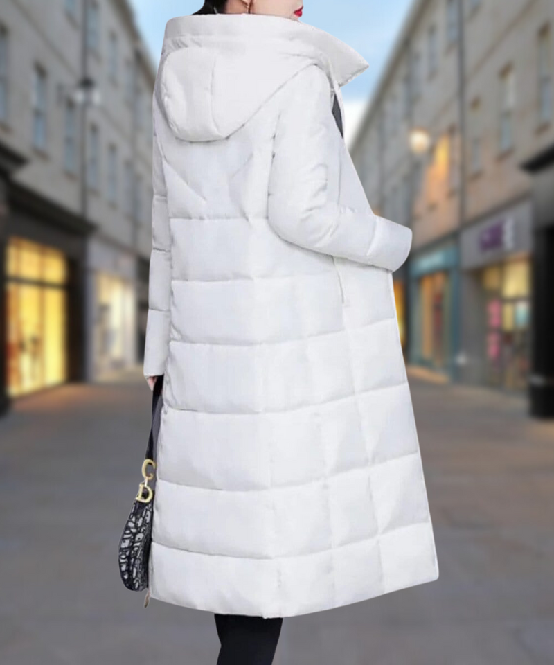 Elegantly Designed Jacket