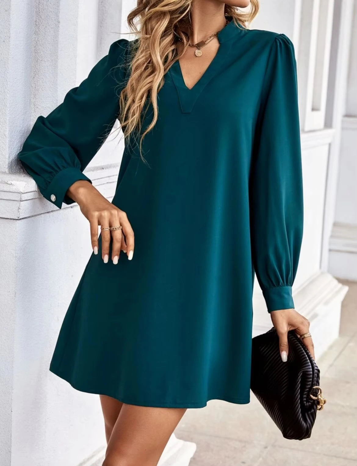 Stylish and Elegant Dress