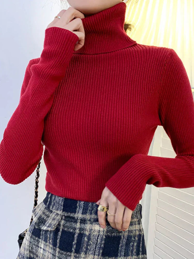 Beautifully Crafted Jumper