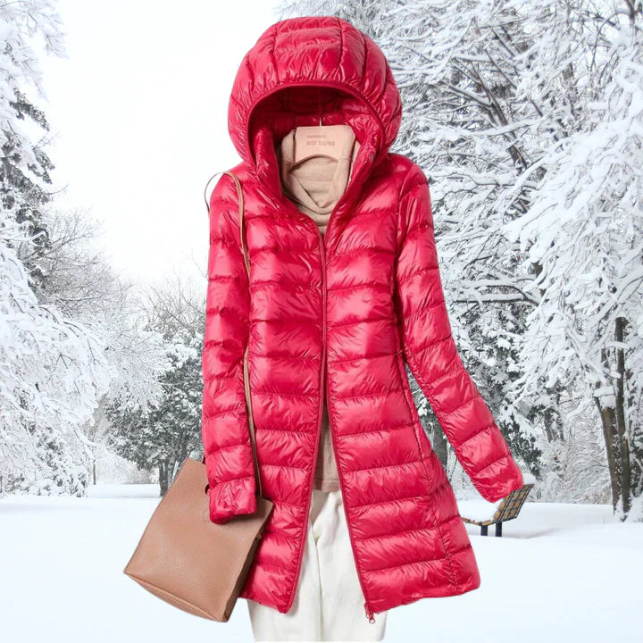 Elegantly Designed Jacket