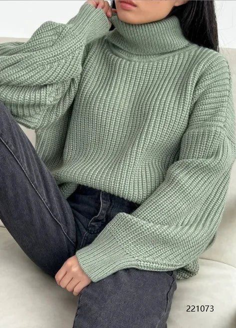 Elegantly Designed Jumper