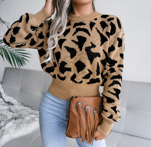 Elegantly Designed Jumper
