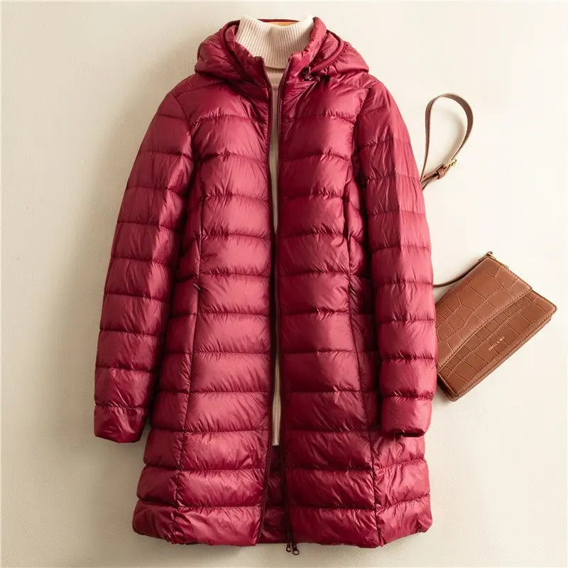 Beautifully Crafted Jacket