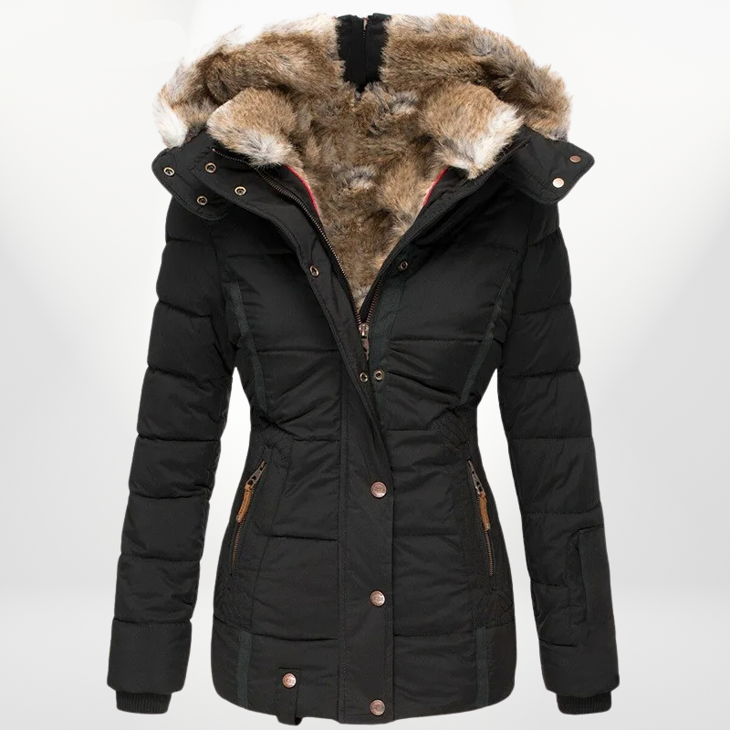 Elegantly Designed Jacket
