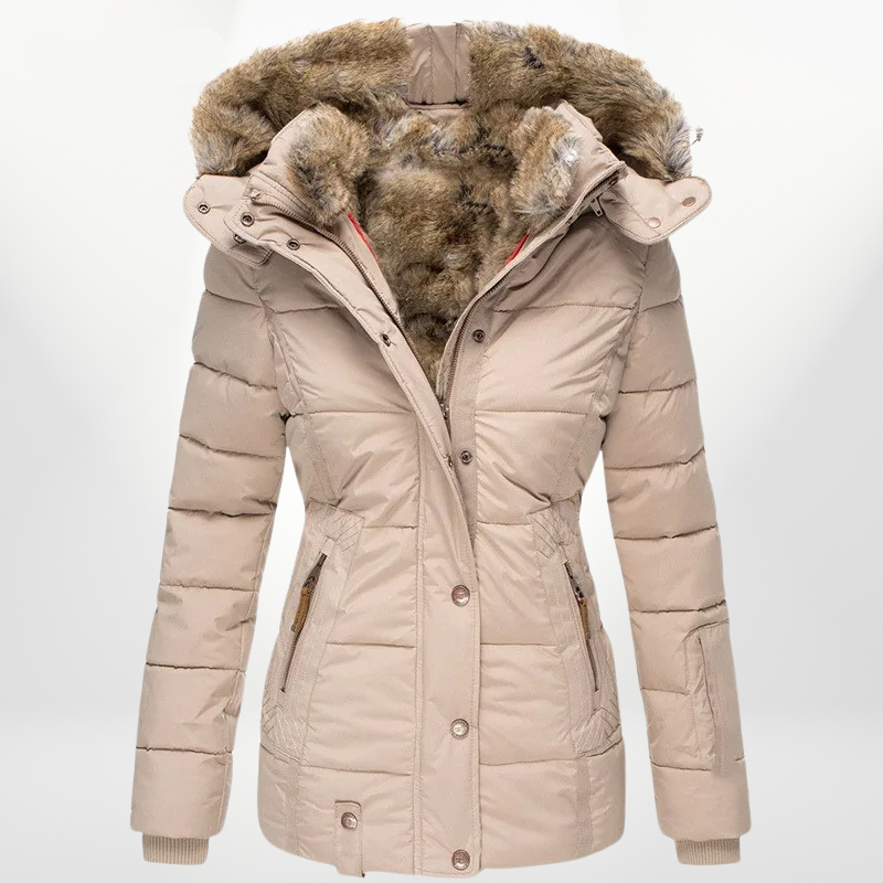 Elegantly Designed Jacket