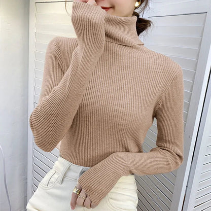 Thoughtfully Designed Jumper