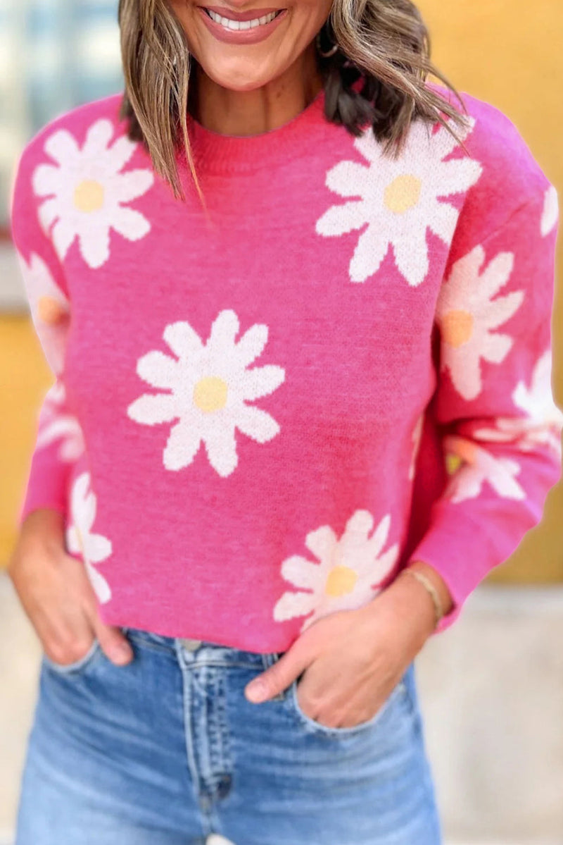 Gracefully Designed Jumper
