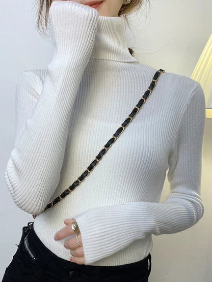 Elegantly Designed Jumper