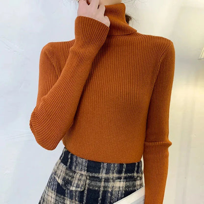 Thoughtfully Designed Jumper