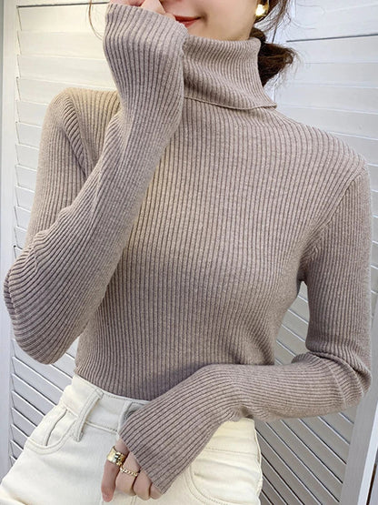 Elegantly Designed Jumper