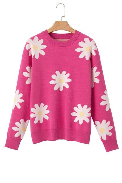 Gracefully Designed Jumper
