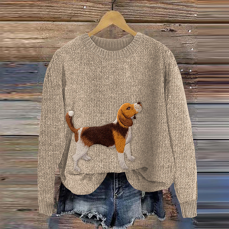 Thoughtfully Designed Jumper
