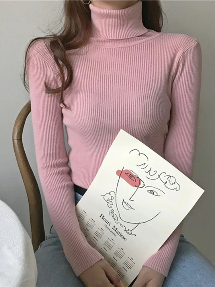 Elegantly Designed Jumper