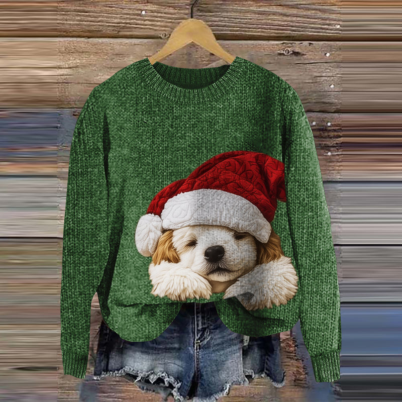 Thoughtfully Designed Jumper