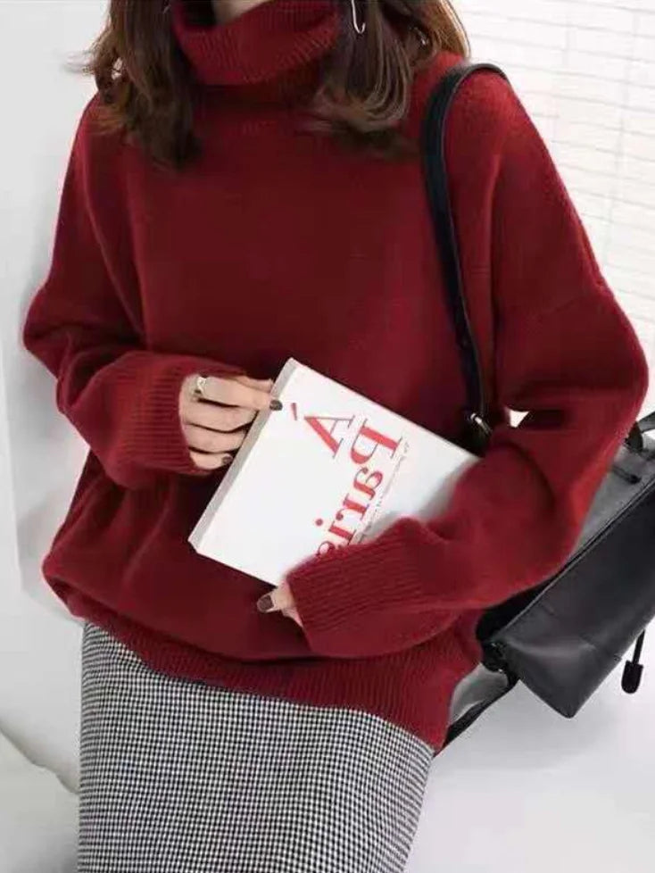 Thoughtfully Designed Jumper