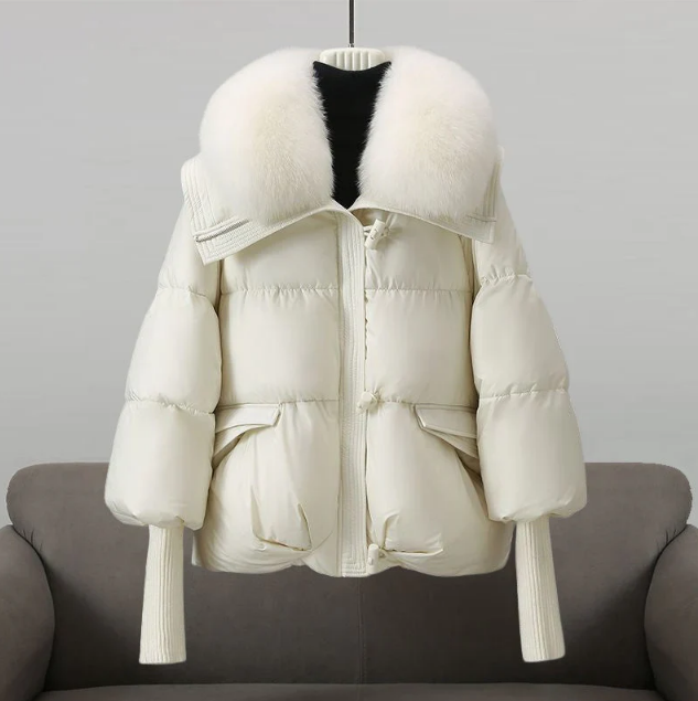 Elegantly Designed Jacket