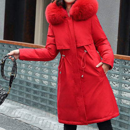 Elegantly Designed Jacket